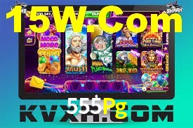 555Pg App Interface